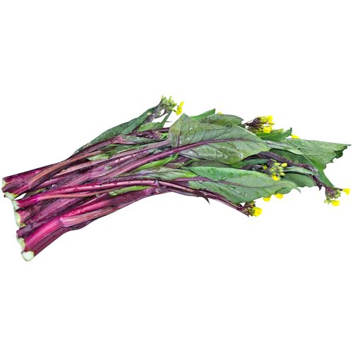 菜心