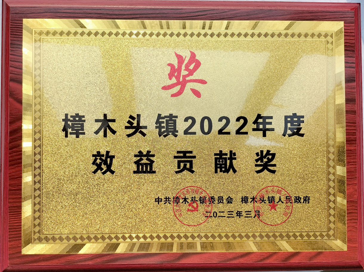 我司被評為“鎮2022年度先進(jìn)單位”