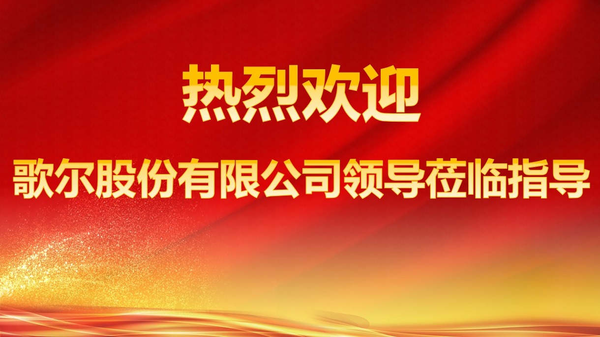 熱烈歡迎歌爾股份領(lǐng)導蒞臨我